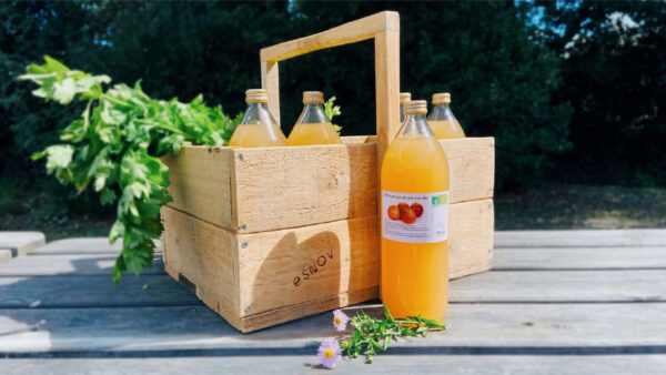 Jus de pomme biologique